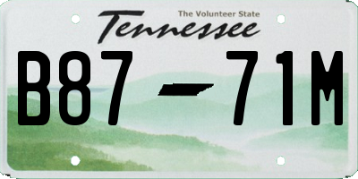 TN license plate B8771M