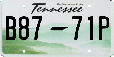 TN license plate B8771P