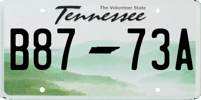 TN license plate B8773A