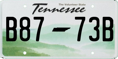 TN license plate B8773B
