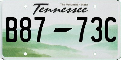 TN license plate B8773C
