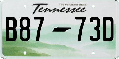 TN license plate B8773D