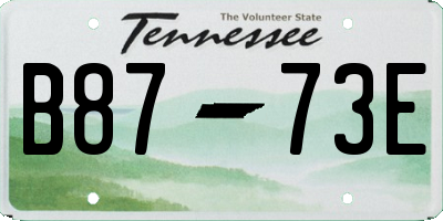 TN license plate B8773E