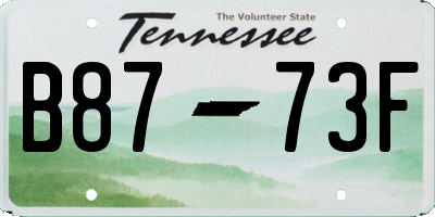 TN license plate B8773F