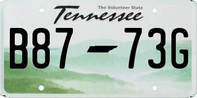 TN license plate B8773G