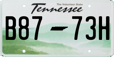 TN license plate B8773H