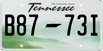 TN license plate B8773I