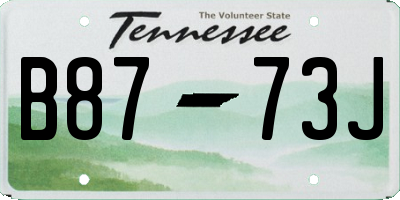 TN license plate B8773J