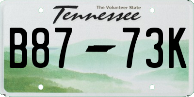 TN license plate B8773K