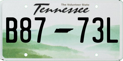 TN license plate B8773L