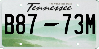 TN license plate B8773M