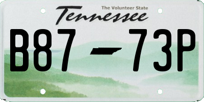 TN license plate B8773P