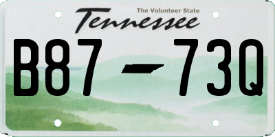 TN license plate B8773Q