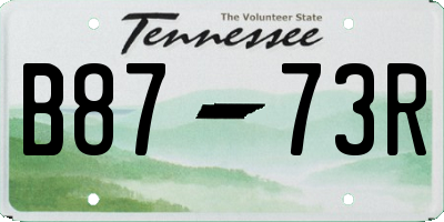 TN license plate B8773R