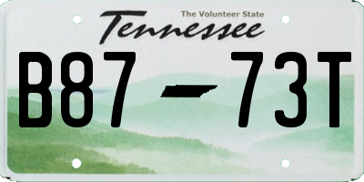 TN license plate B8773T