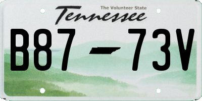 TN license plate B8773V