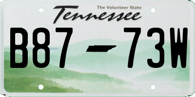TN license plate B8773W