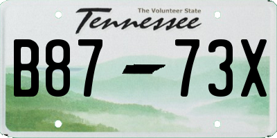 TN license plate B8773X