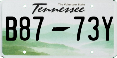TN license plate B8773Y
