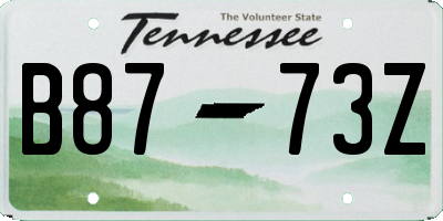 TN license plate B8773Z