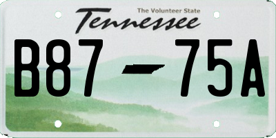 TN license plate B8775A