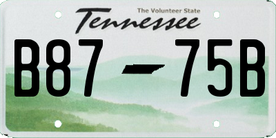 TN license plate B8775B