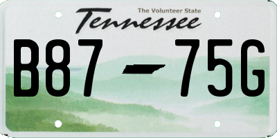 TN license plate B8775G