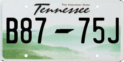 TN license plate B8775J