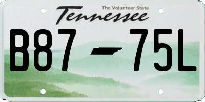 TN license plate B8775L