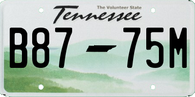 TN license plate B8775M