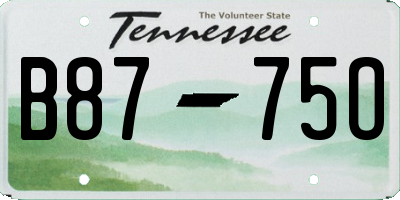 TN license plate B8775O