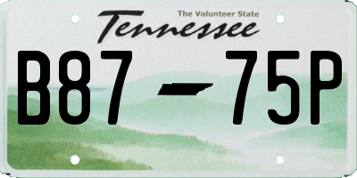 TN license plate B8775P