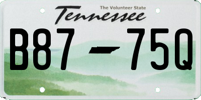 TN license plate B8775Q
