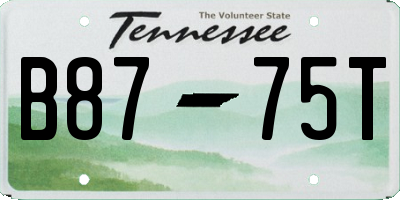 TN license plate B8775T