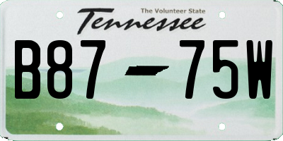 TN license plate B8775W