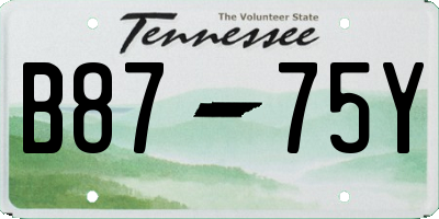 TN license plate B8775Y