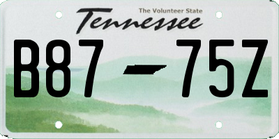 TN license plate B8775Z