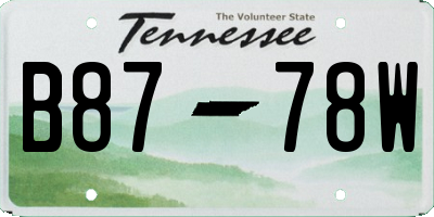 TN license plate B8778W