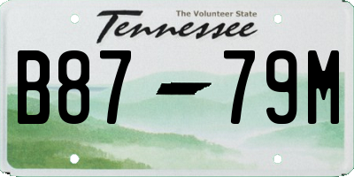 TN license plate B8779M
