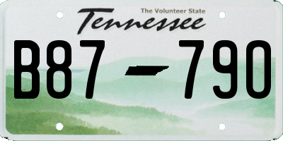 TN license plate B8779O