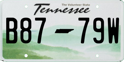 TN license plate B8779W