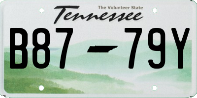 TN license plate B8779Y