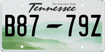 TN license plate B8779Z