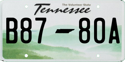 TN license plate B8780A