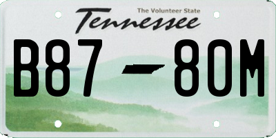 TN license plate B8780M