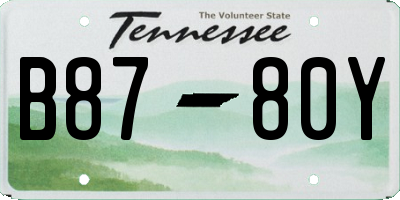 TN license plate B8780Y