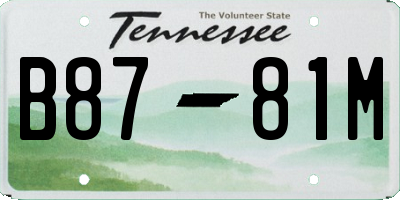 TN license plate B8781M