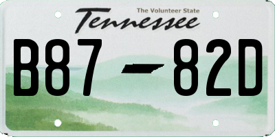 TN license plate B8782D