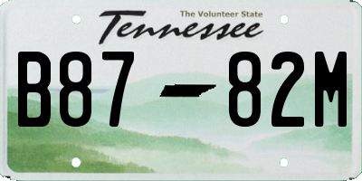 TN license plate B8782M