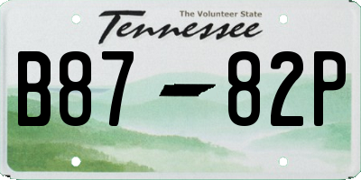 TN license plate B8782P